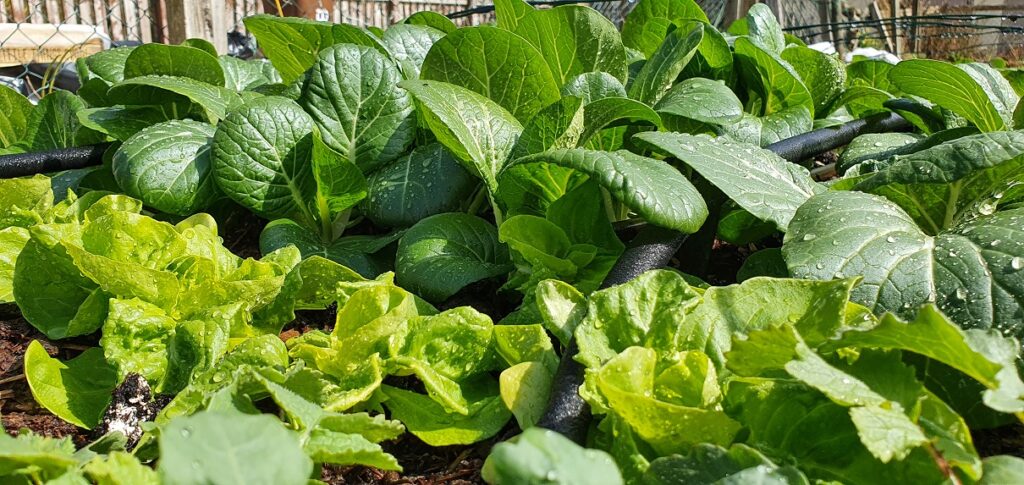 Smart garden monitoring equipment